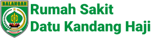 Rumah Sakit Datu Kandang Haji